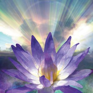 healing purple flower